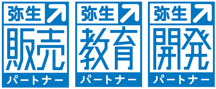 給与明細書(単票用紙)336001Z 2セット 弥生給与サプライ｜ネットで弥生